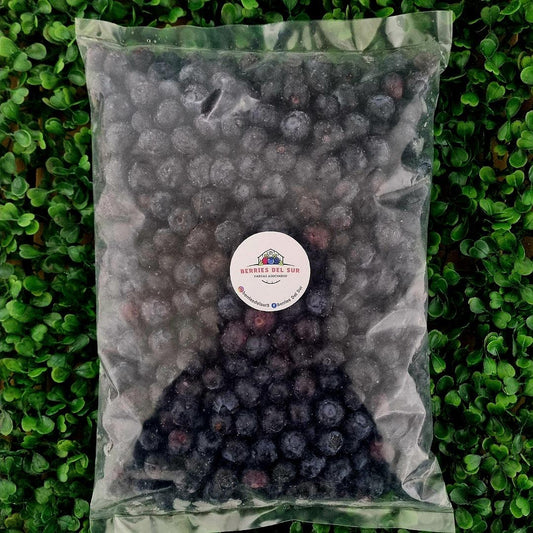 Arándanos Congelados