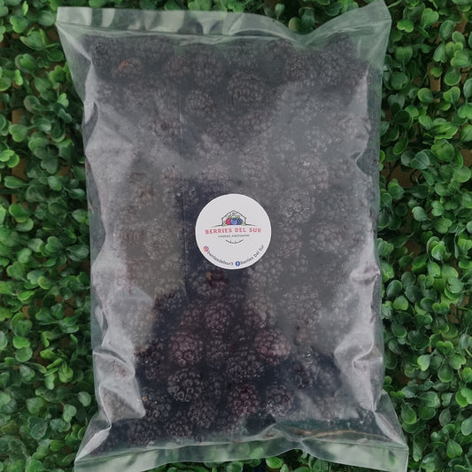 Moras Congeladas